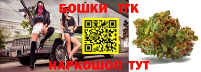 индика Рузаевка