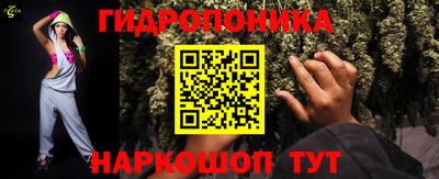 индика Рузаевка