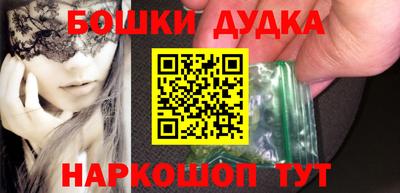 индика Рузаевка