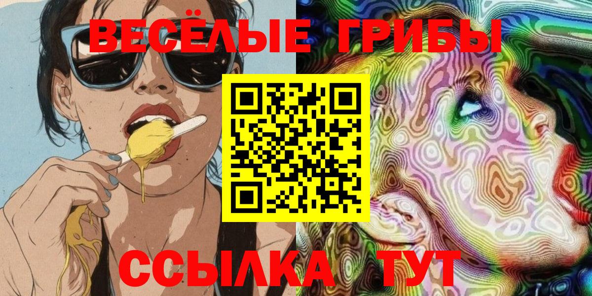 Псилоцибиновые грибы Cubensis Муром